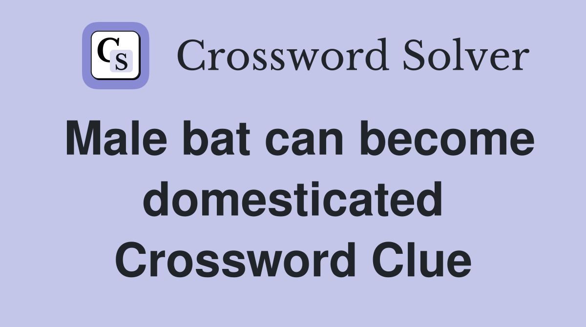 Male bat can become domesticated Crossword Clue