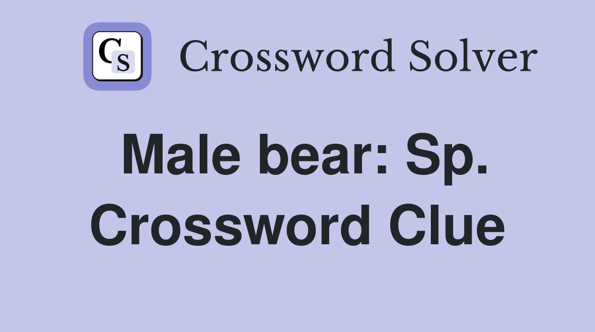 Male bear: Sp. Crossword Clue