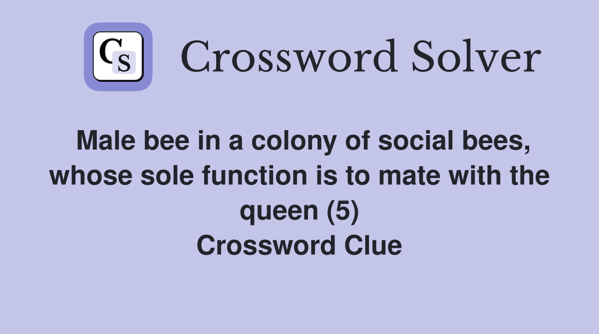 Male bee in a colony of social bees, whose sole function is to mate with the queen (5) Crossword Clue