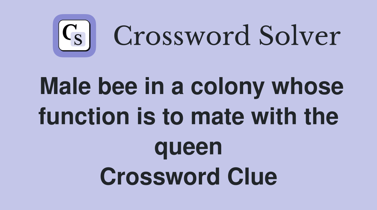 Male bee in a colony whose function is to mate with the queen Crossword Clue