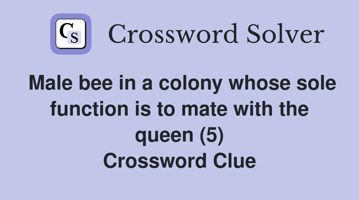 Male bee in a colony whose sole function is to mate with the queen (5) Crossword Clue