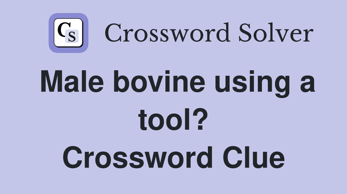 Male bovine using a tool? Crossword Clue