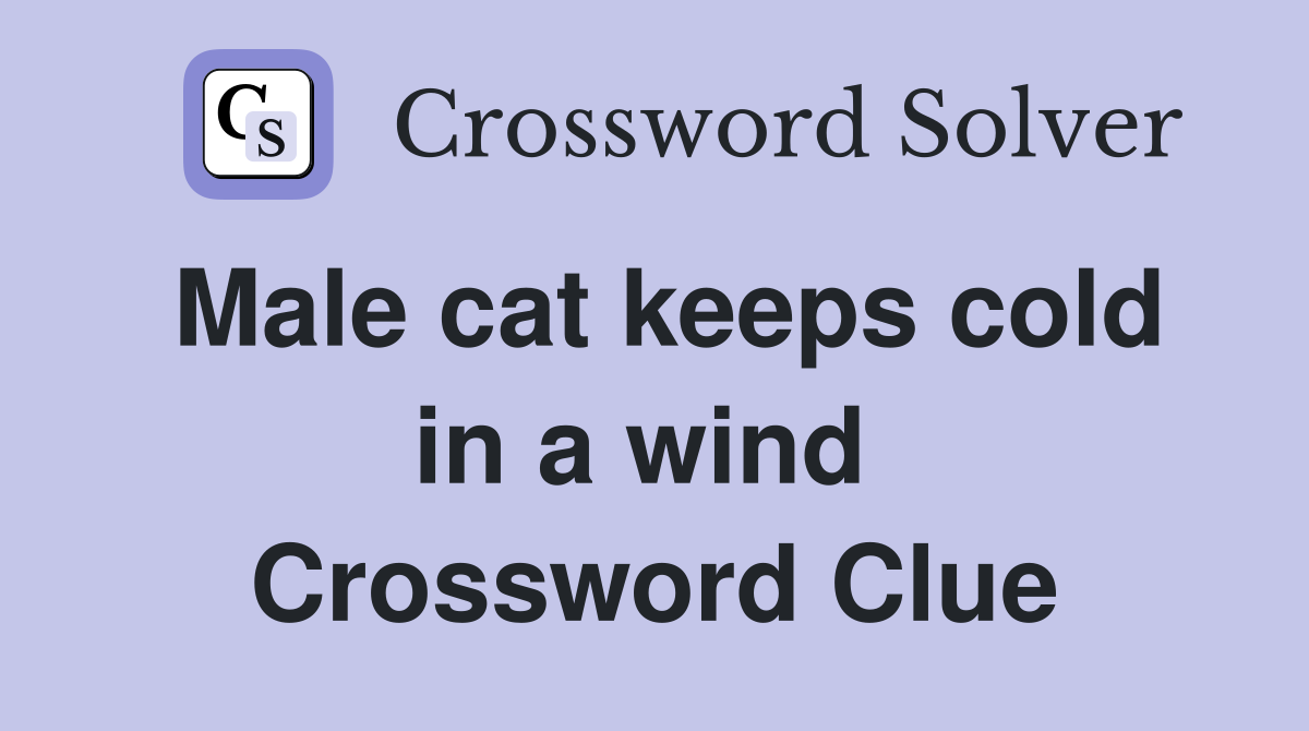 Male cat keeps cold in a wind  Crossword Clue