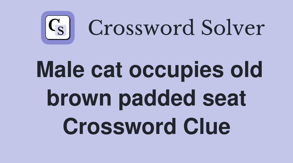 Male cat occupies old brown padded seat Crossword Clue