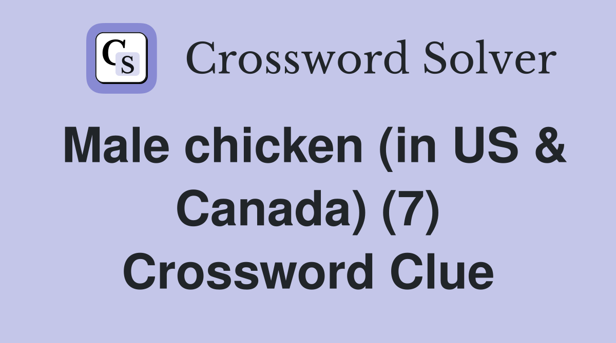 Male chicken (in US & Canada) (7) Crossword Clue