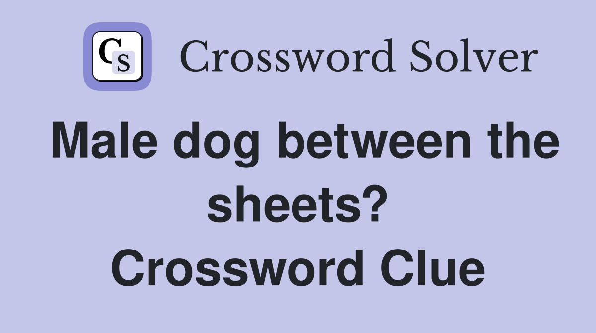 Male dog between the sheets? Crossword Clue