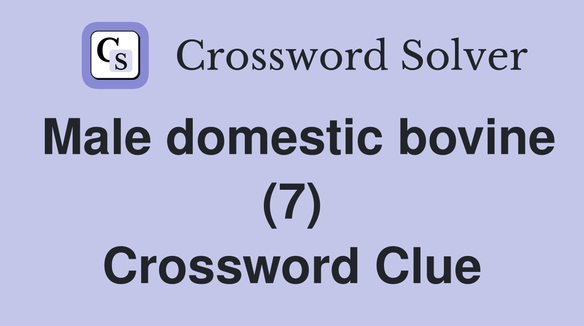 Male domestic bovine (7) Crossword Clue