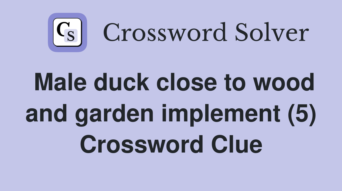 Male duck close to wood and garden implement (5) Crossword Clue