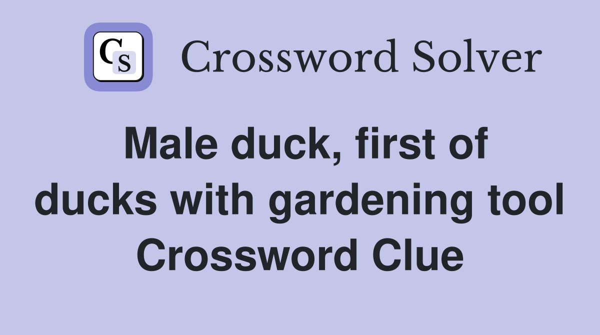 Male duck, first of ducks with gardening tool Crossword Clue