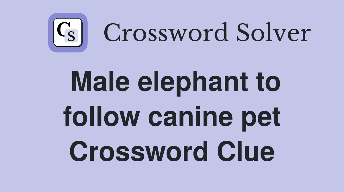 Male elephant to follow canine pet Crossword Clue