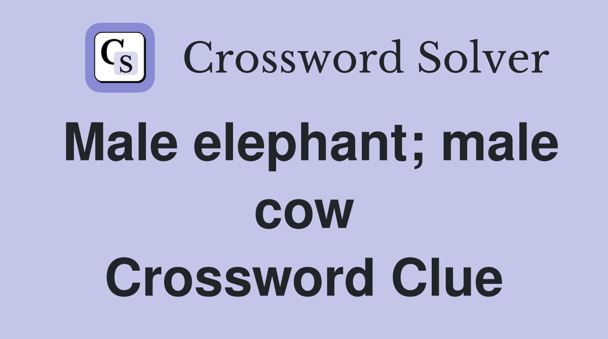 Male elephant; male cow Crossword Clue