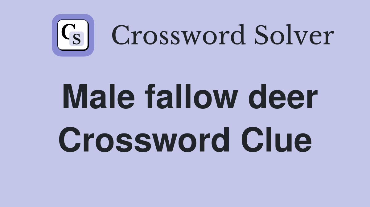 Male fallow deer Crossword Clue