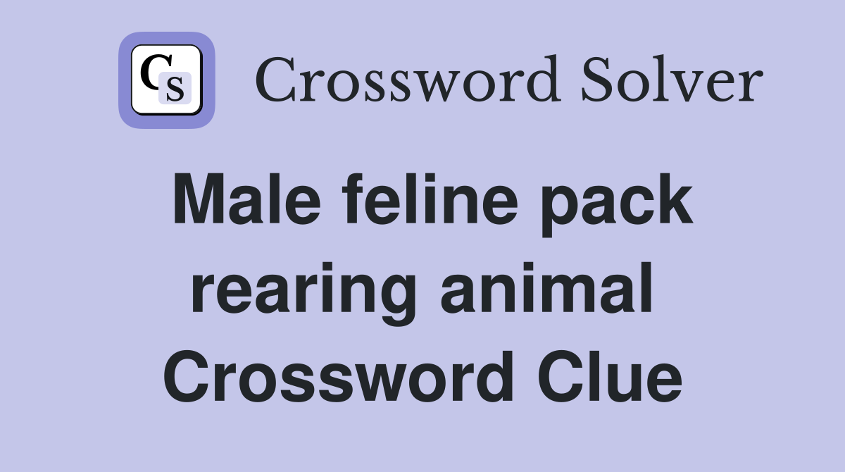 Male feline pack rearing animal Crossword Clue