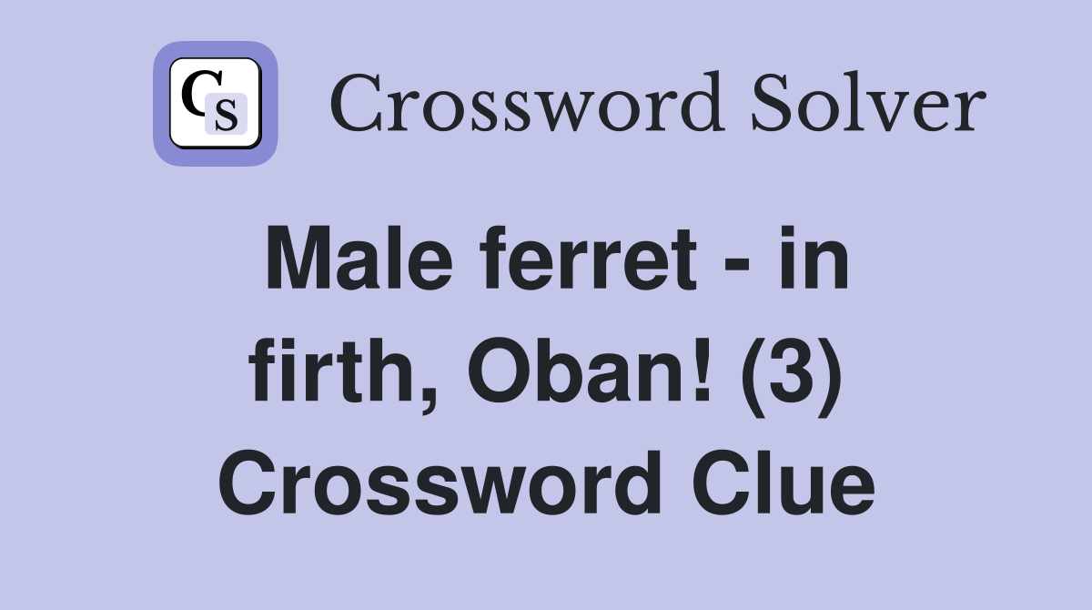 Male ferret - in firth, Oban! (3) Crossword Clue
