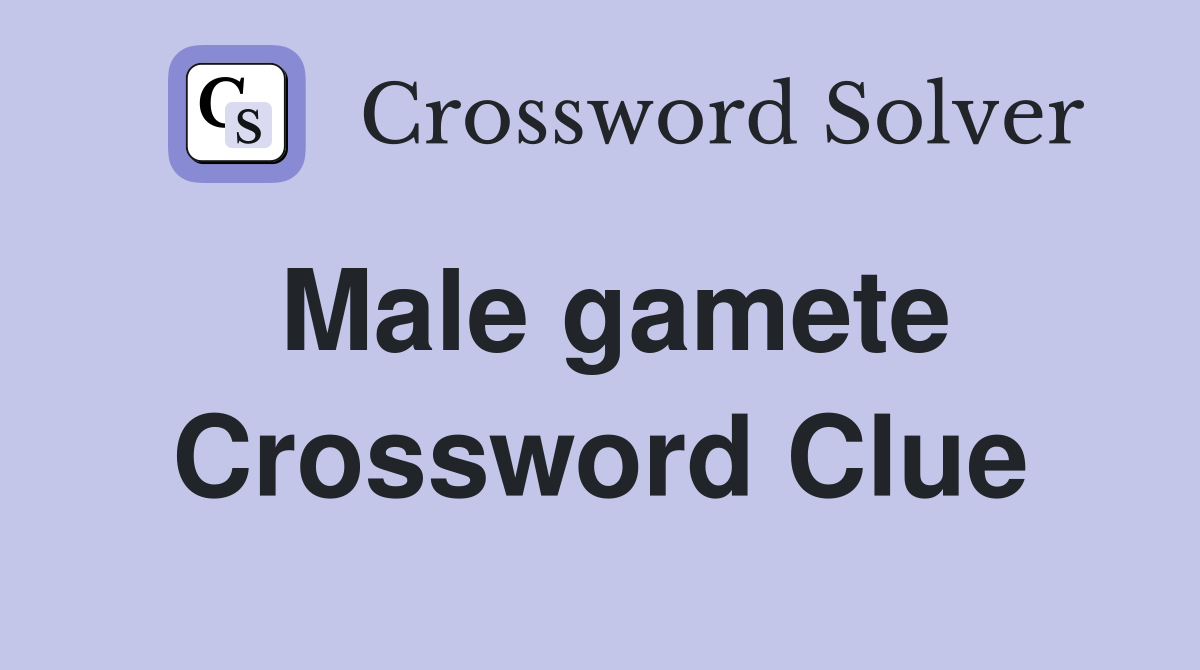 Male gamete Crossword Clue