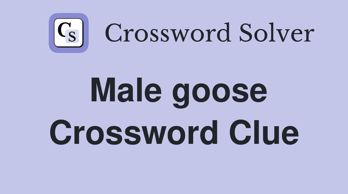 Male goose Crossword Clue