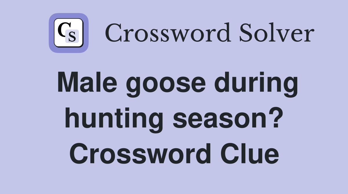 Male goose during hunting season? Crossword Clue