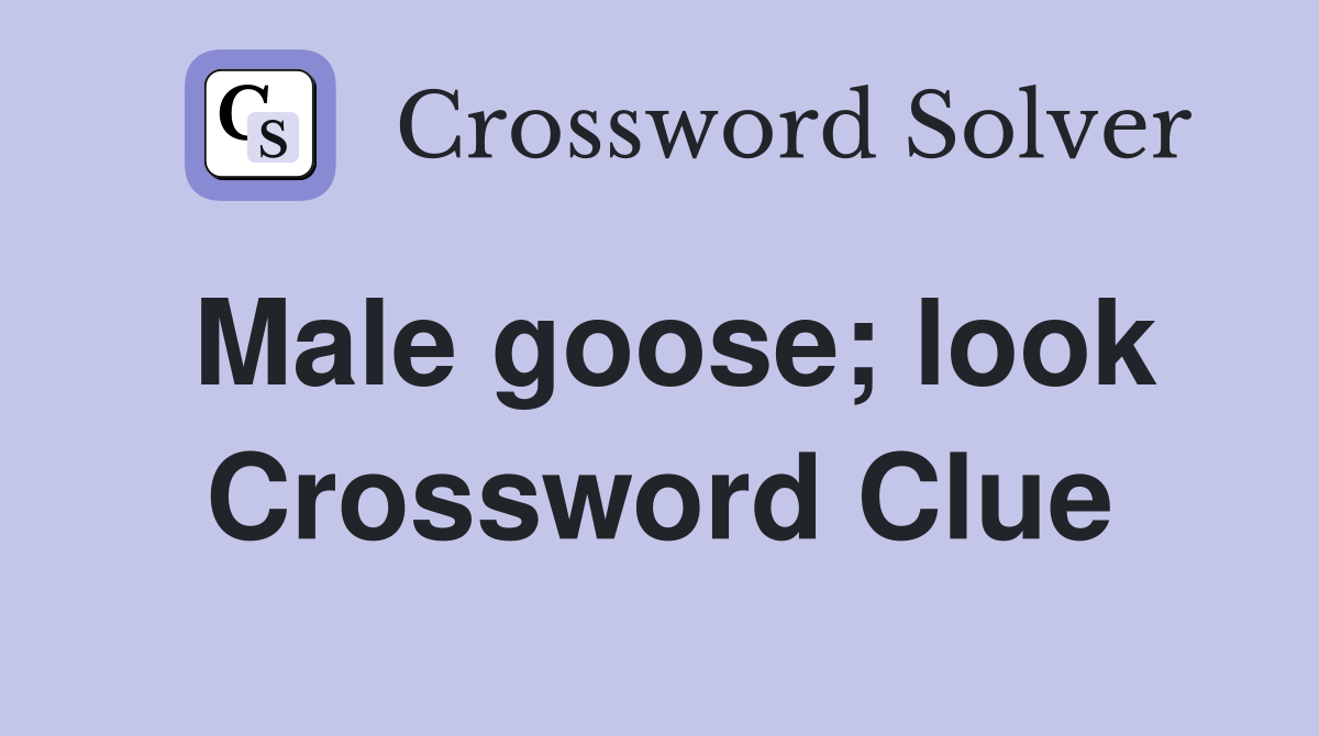Male goose; look Crossword Clue
