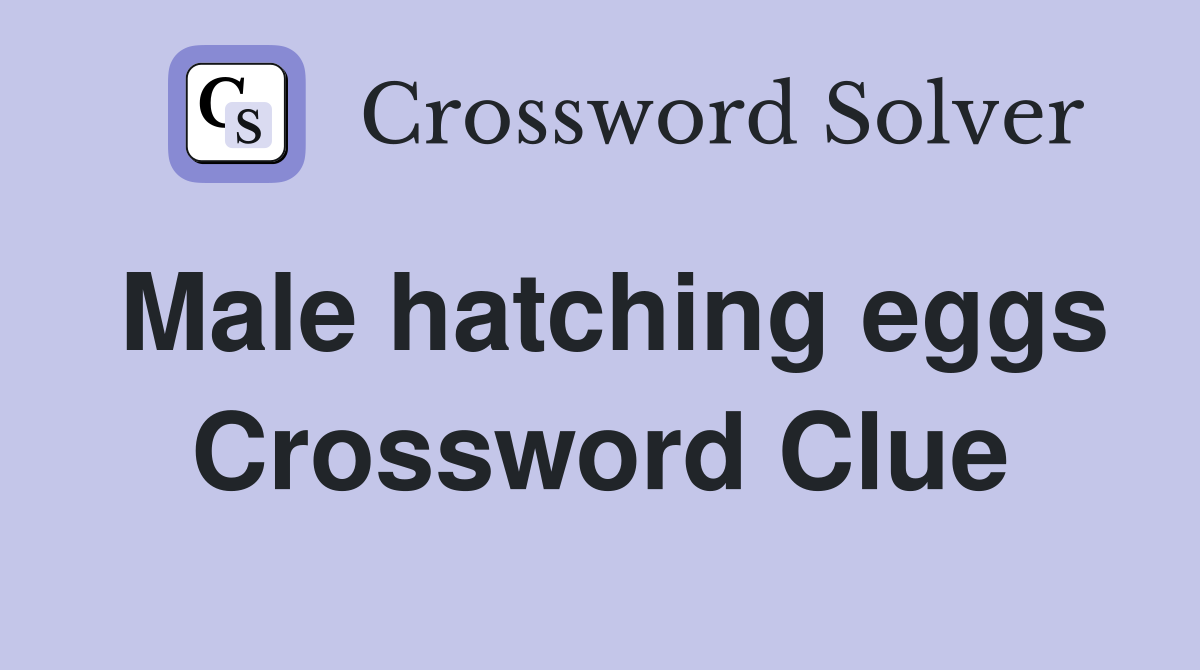 Male hatching eggs Crossword Clue