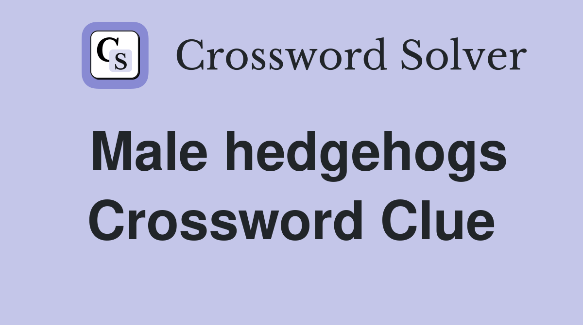 Male hedgehogs Crossword Clue