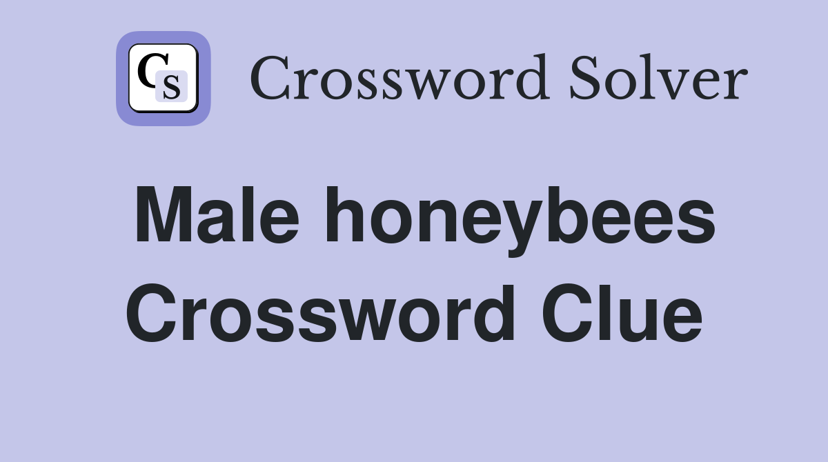 Male honeybees Crossword Clue