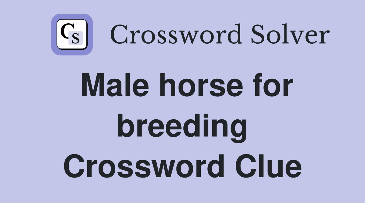 Male horse for breeding Crossword Clue