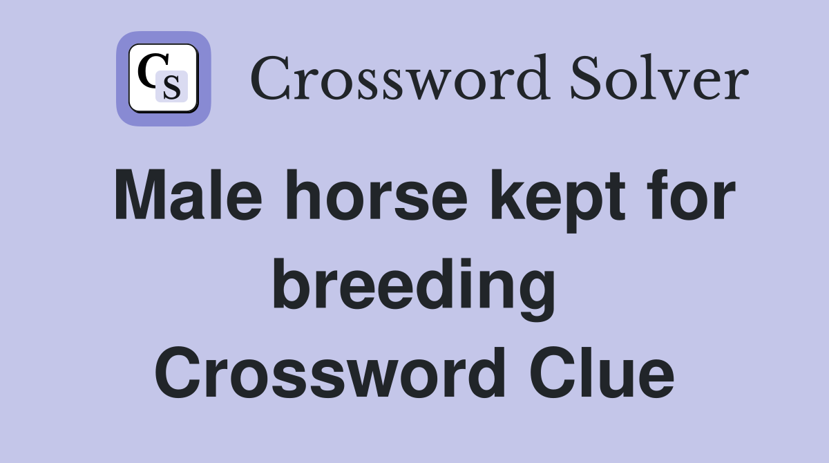 Male horse kept for breeding Crossword Clue