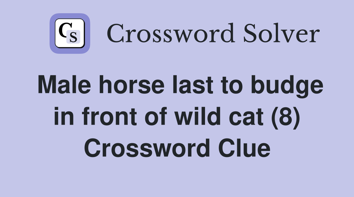Male horse last to budge in front of wild cat (8) Crossword Clue
