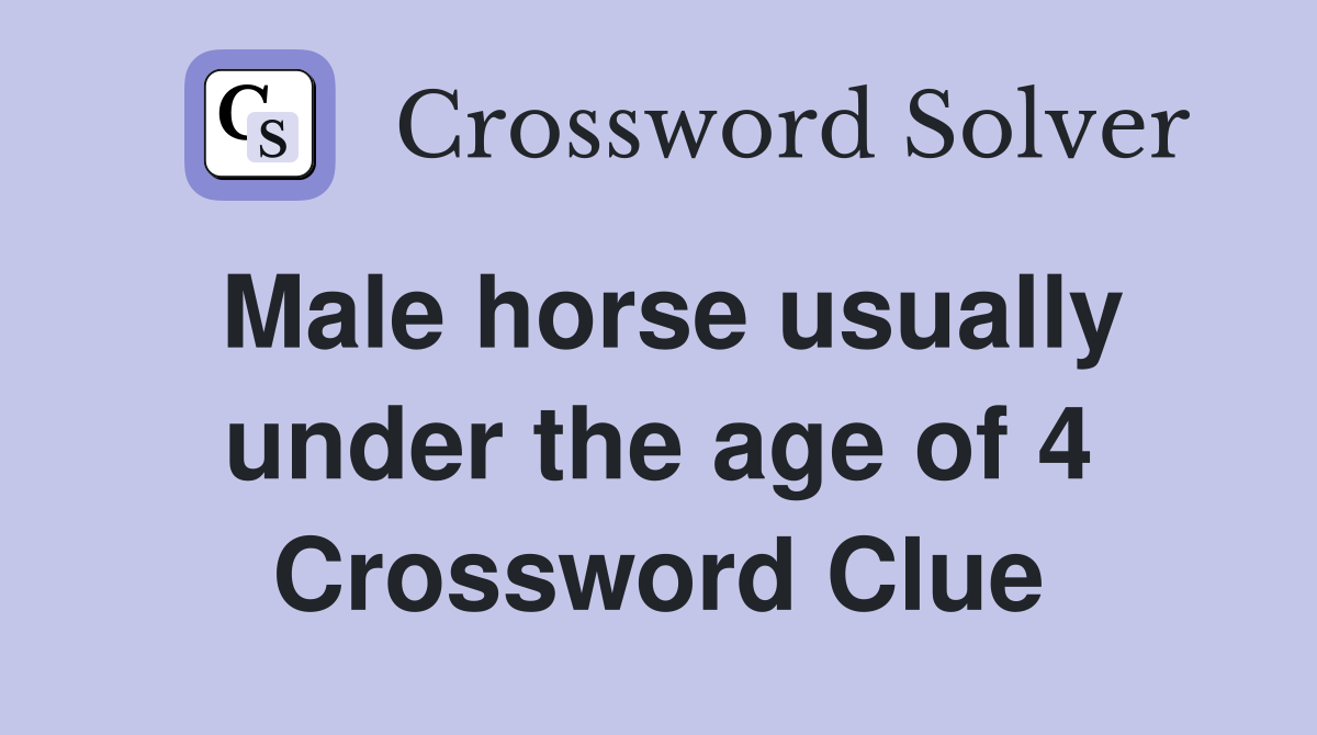 Male horse usually under the age of 4 Crossword Clue