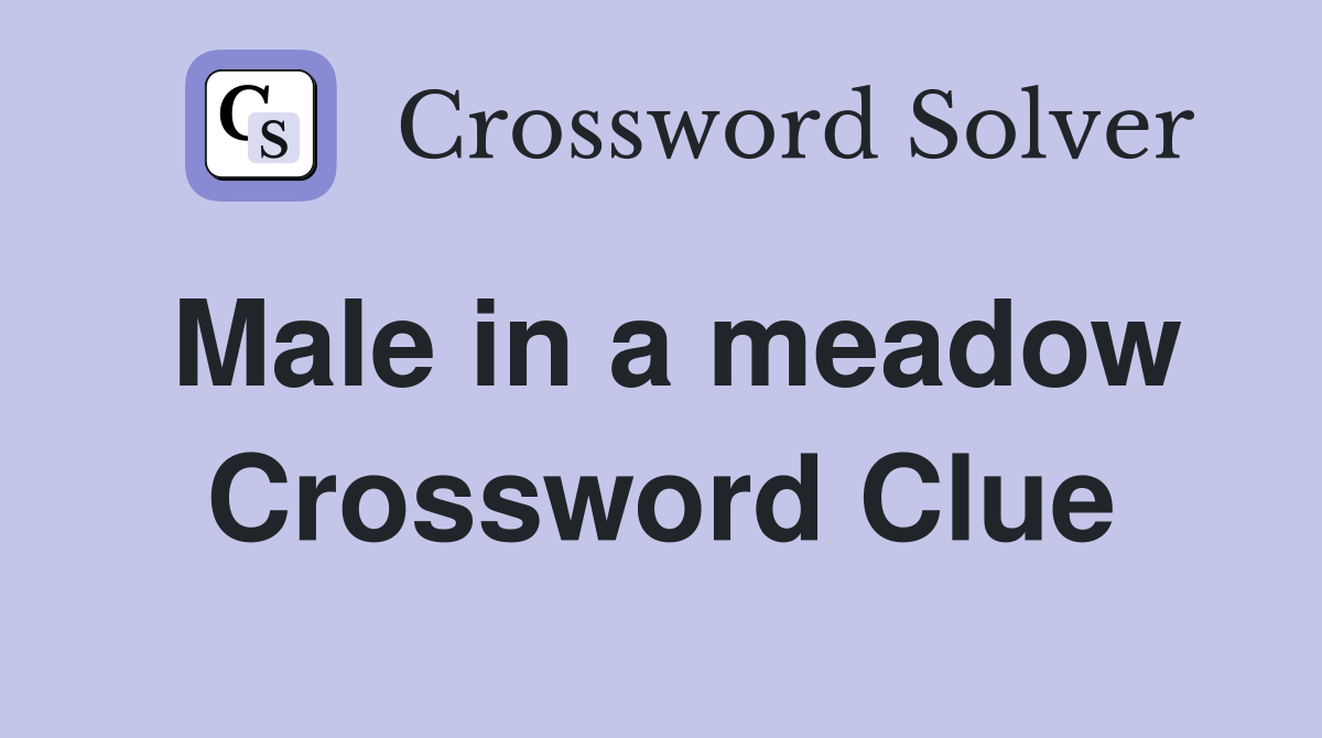 Male in a meadow Crossword Clue