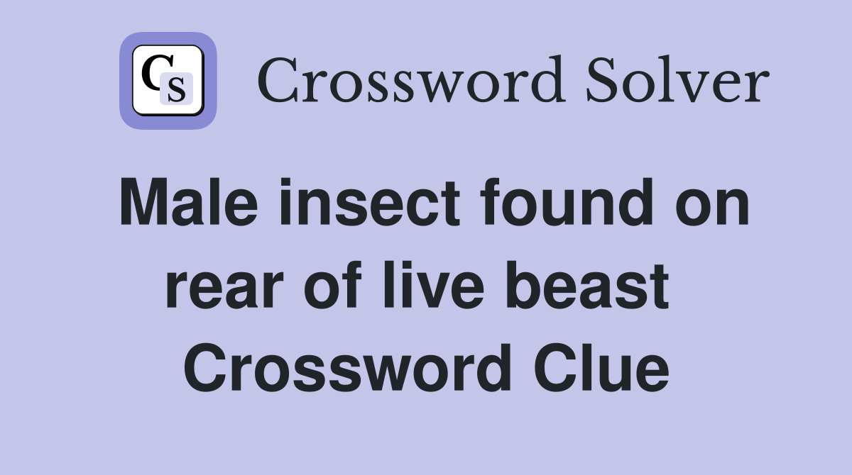 Male insect found on rear of live beast  Crossword Clue