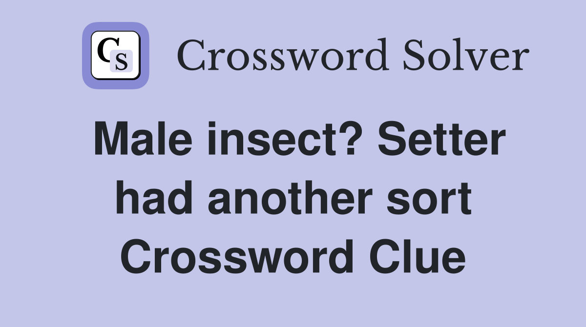 Male insect? Setter had another sort Crossword Clue