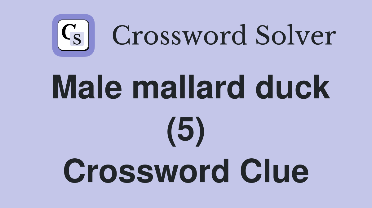 Male mallard duck (5) Crossword Clue