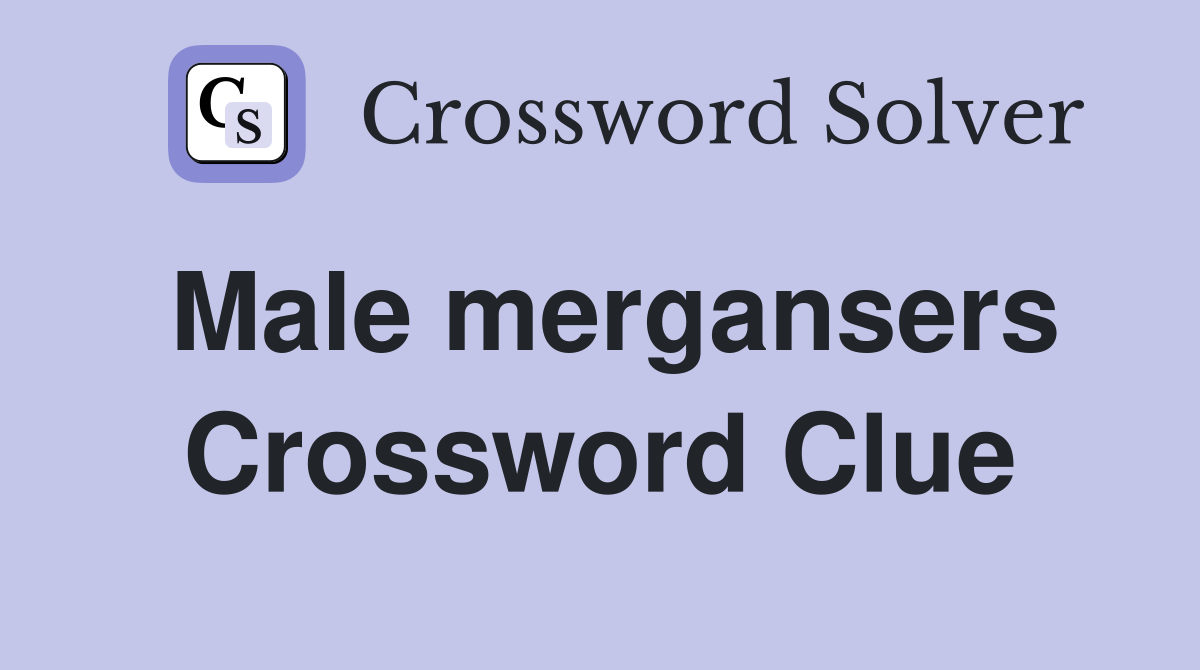 Male mergansers Crossword Clue
