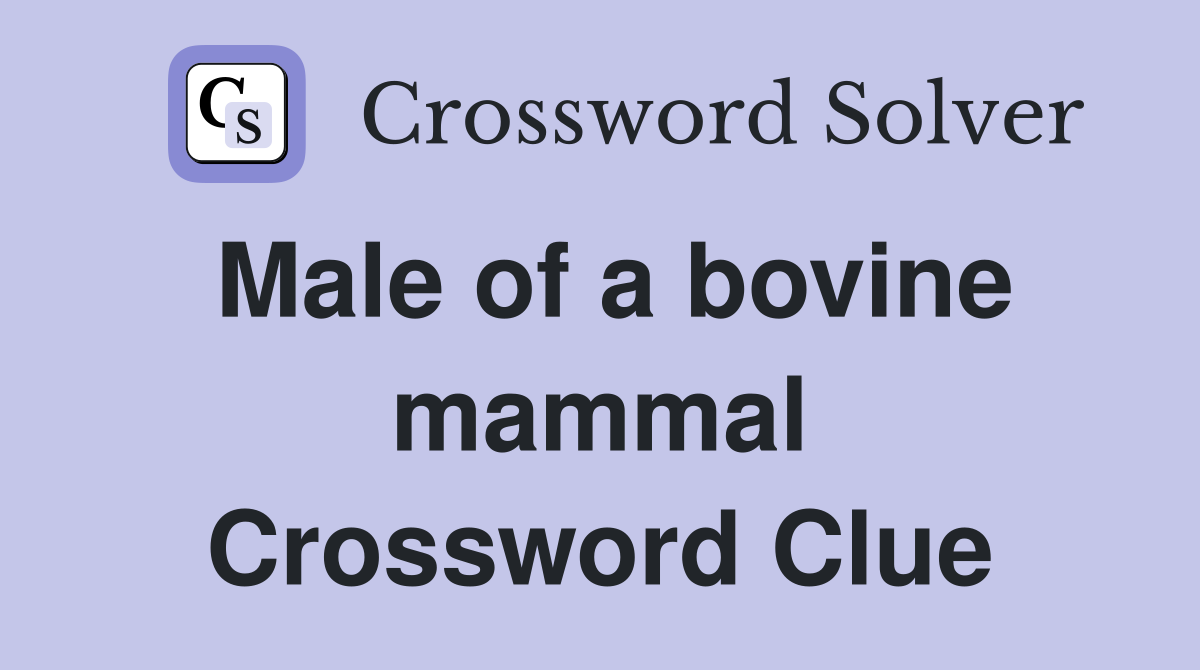 Male of a bovine mammal Crossword Clue