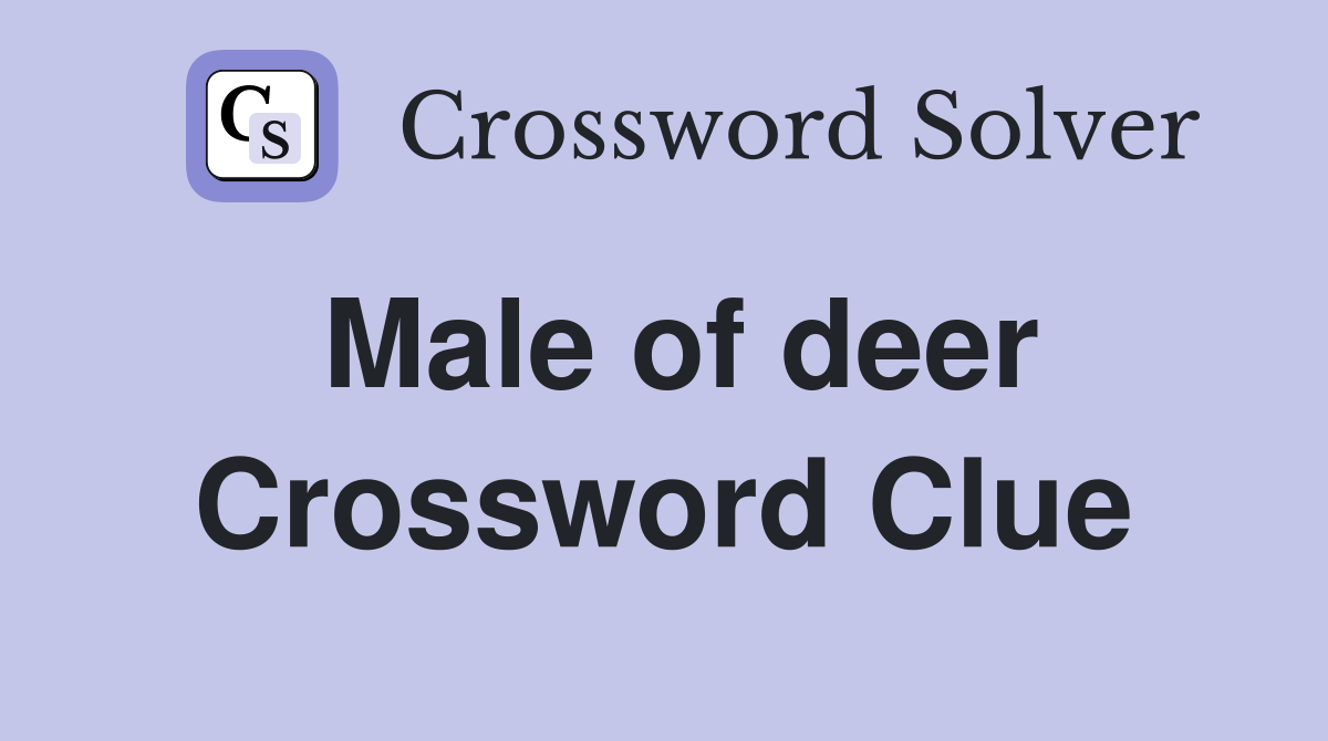 Male of deer Crossword Clue