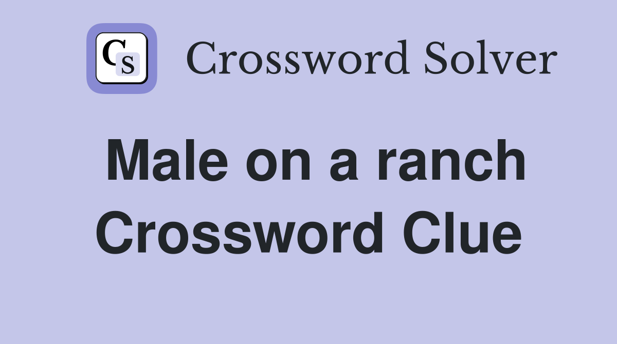 Male on a ranch Crossword Clue