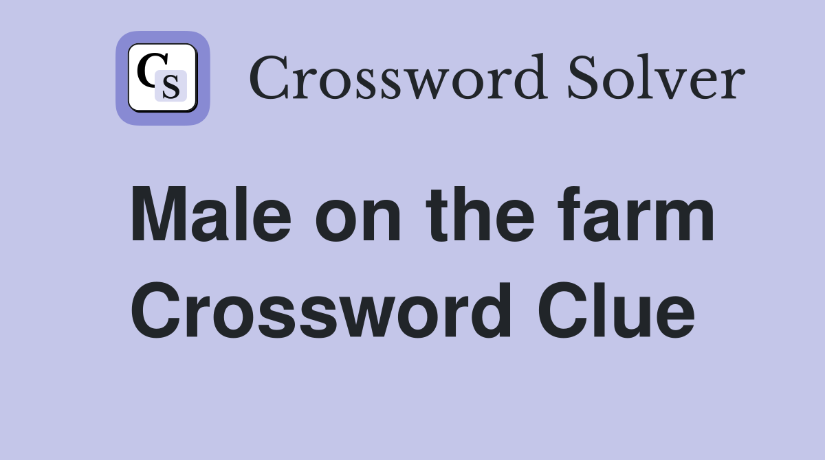 Male on the farm Crossword Clue
