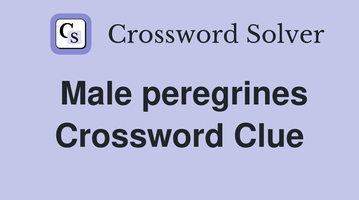 Male peregrines Crossword Clue
