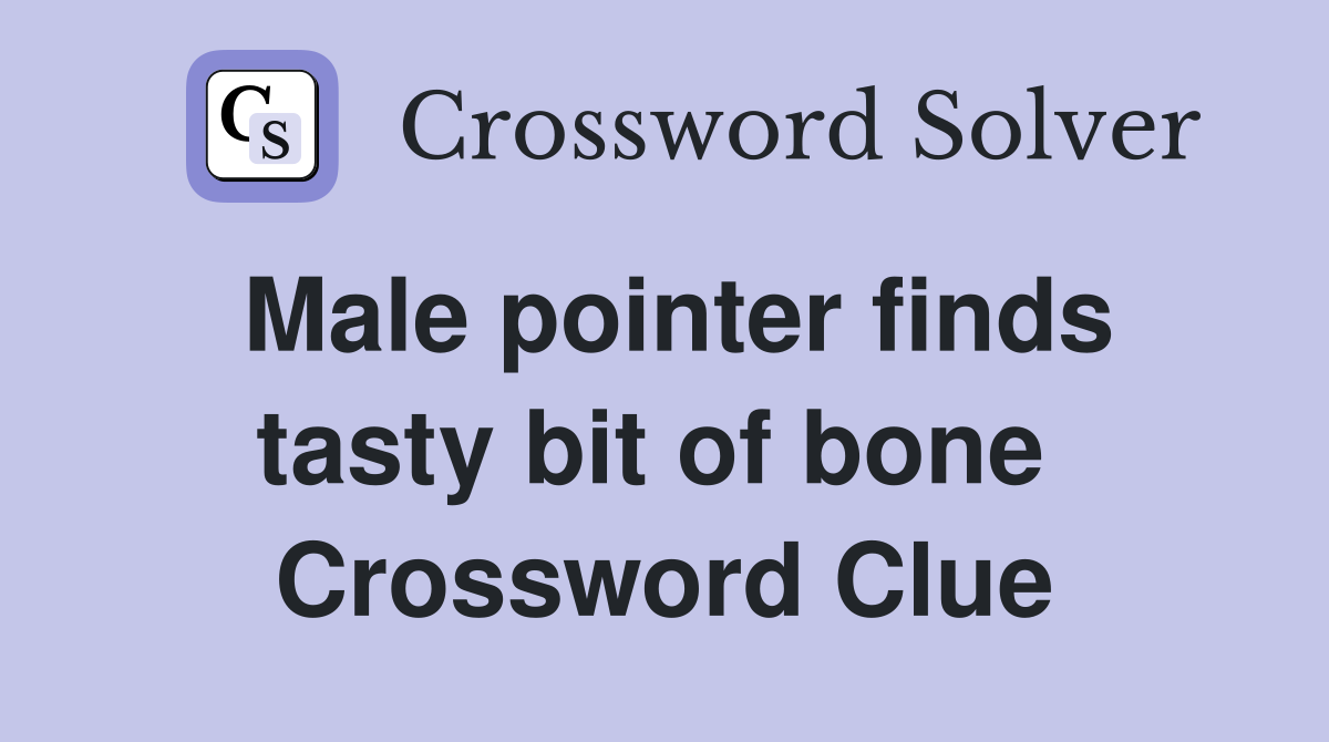 Male pointer finds tasty bit of bone  Crossword Clue