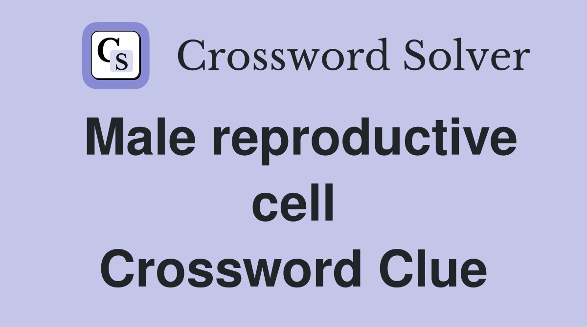 Male reproductive cell Crossword Clue