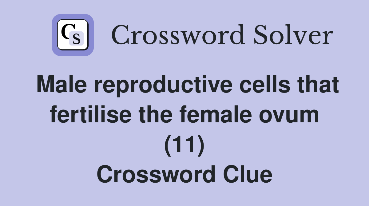 Male reproductive cells that fertilise the female ovum (11) Crossword Clue