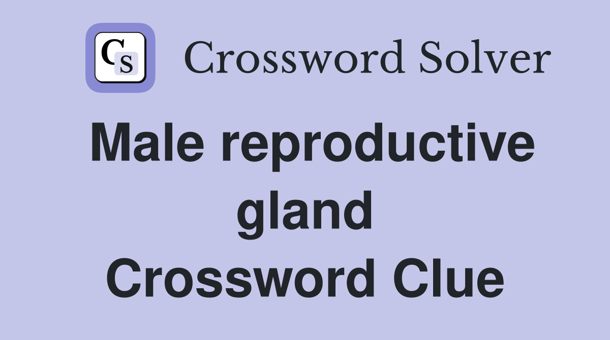 Male reproductive gland Crossword Clue