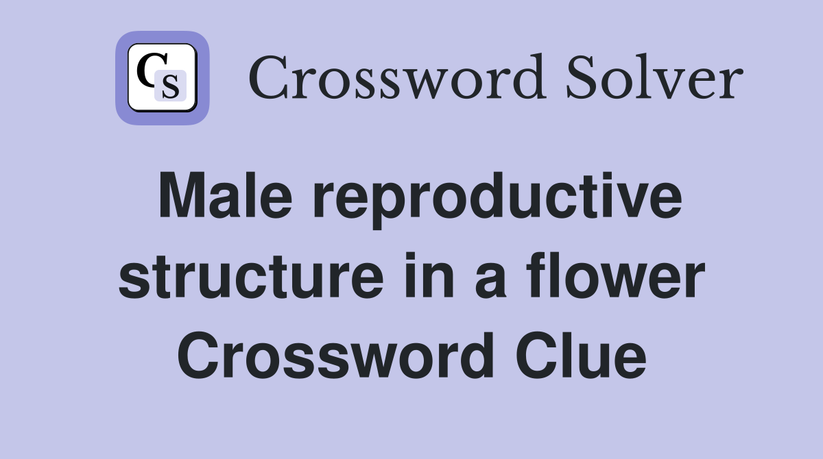 Male reproductive structure in a flower Crossword Clue