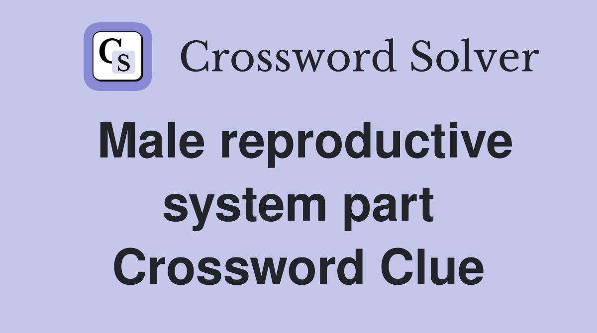 Male reproductive system part Crossword Clue