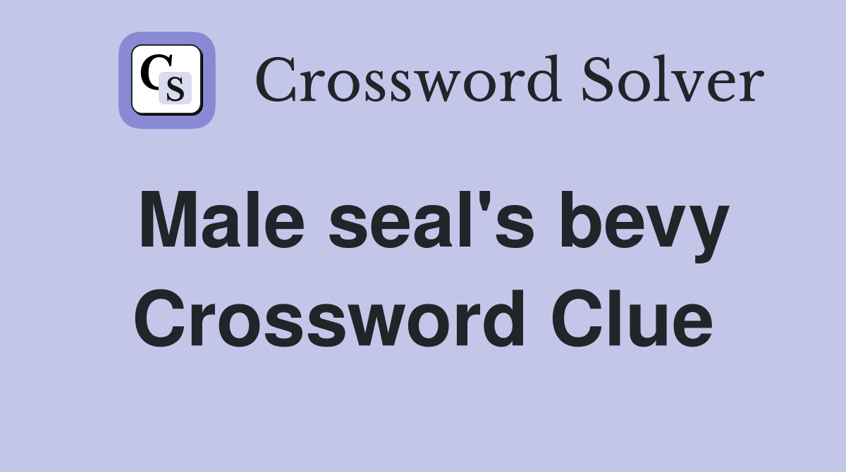 Male seal's bevy Crossword Clue