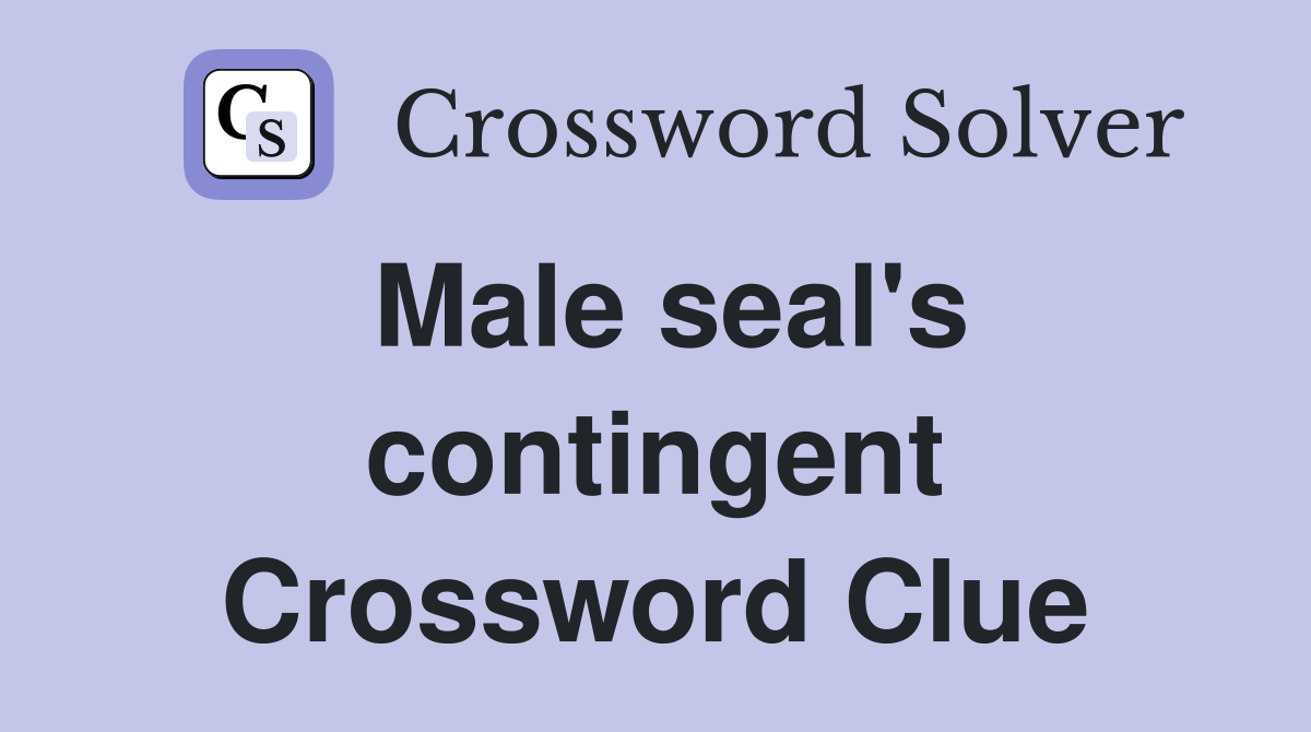 Male seal's contingent Crossword Clue