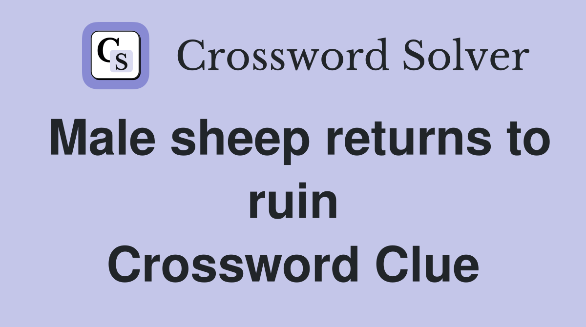 Male sheep returns to ruin Crossword Clue