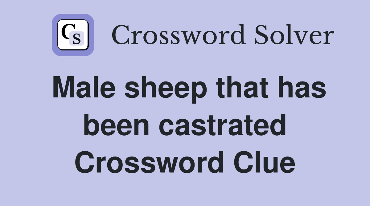 Male sheep that has been castrated Crossword Clue