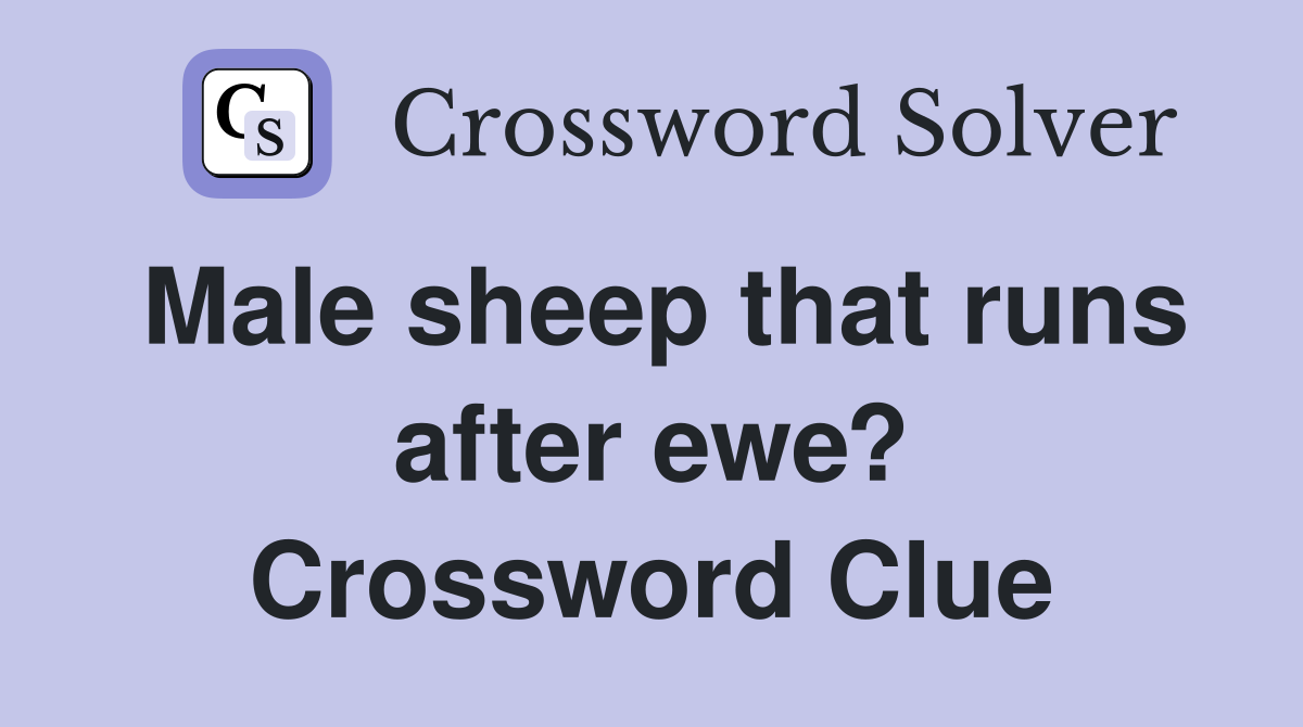 Male sheep that runs after ewe? Crossword Clue